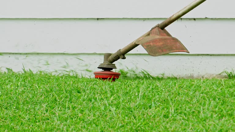 Clear Lake, WI Tree Services Company